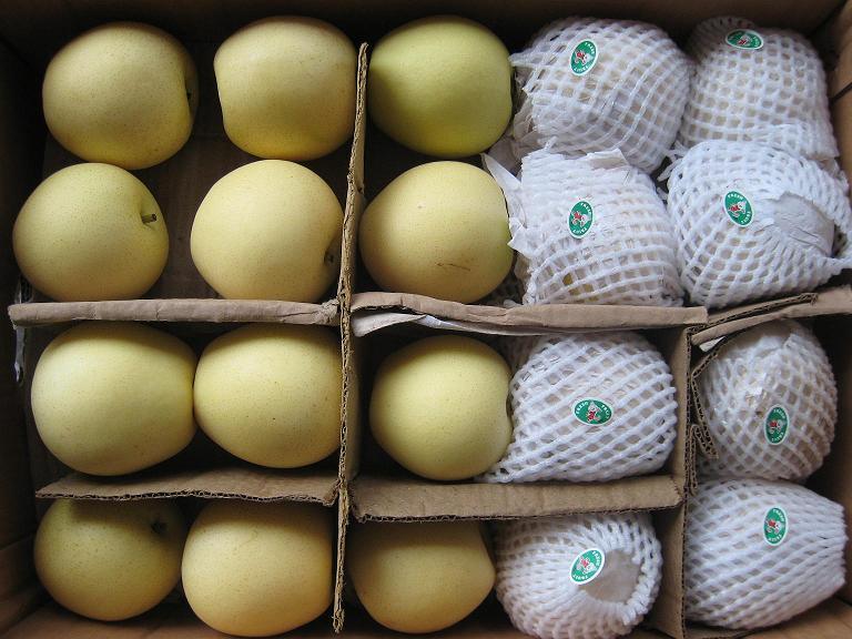 First Quality Fresh New Crop Crown Pear