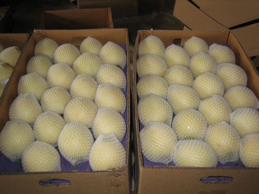 First Quality Fresh New Crop Crown Pear