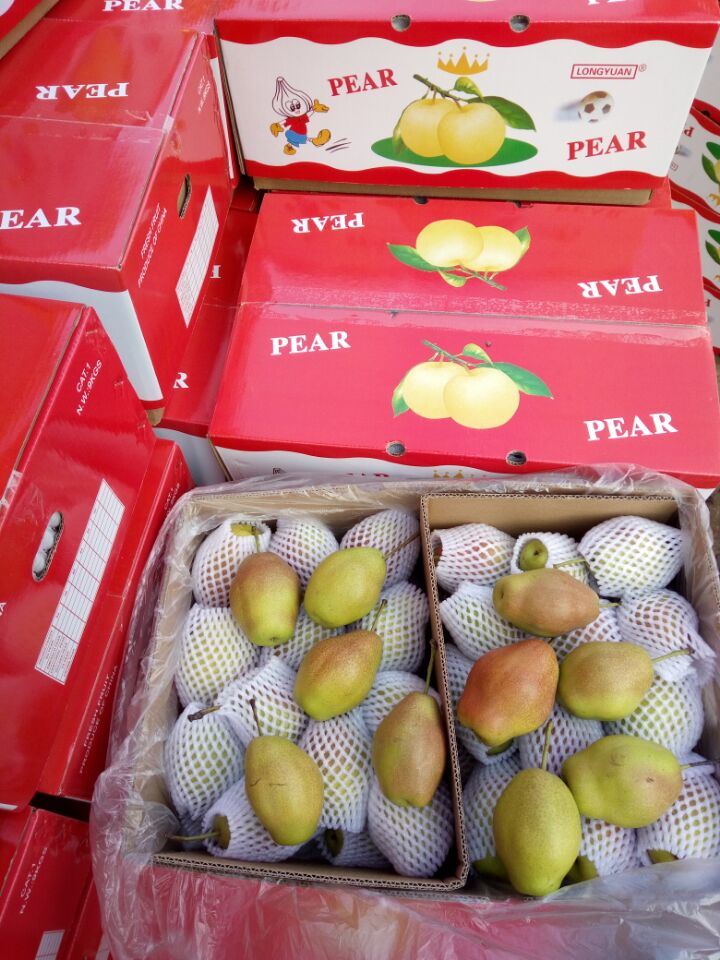 Fresh Red Korla Pear, Fragrant Pear From China