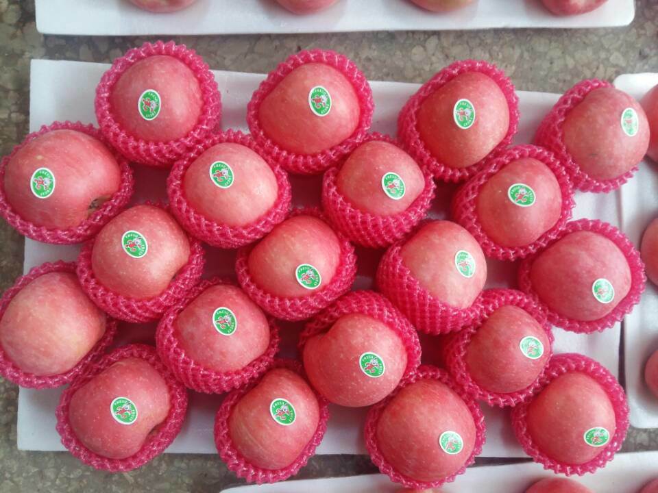 Red Color Good Quality Apple