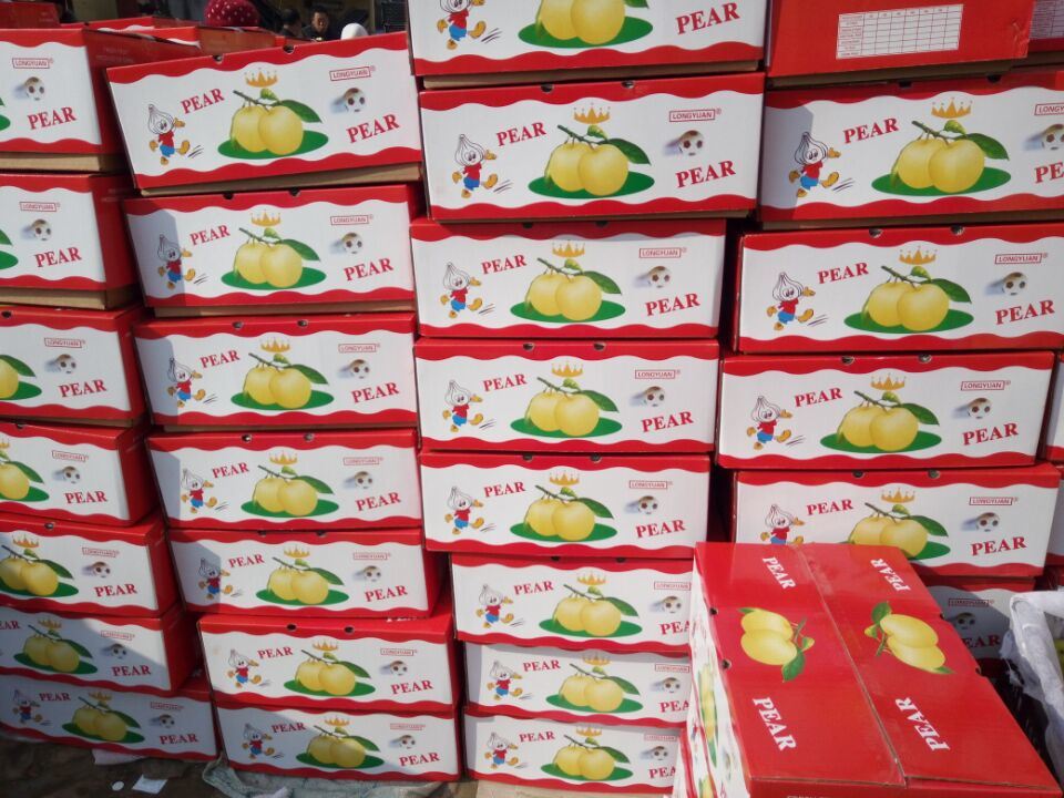 Global Gap Fresh Red Fragrant Pear (hongxiangsu pear) , Korla Pear