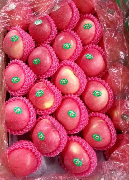 Fresh Red Apple From China Origin