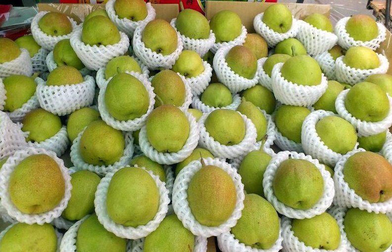 Fresh Red Fragrant Pear (hongxiangsu pear)