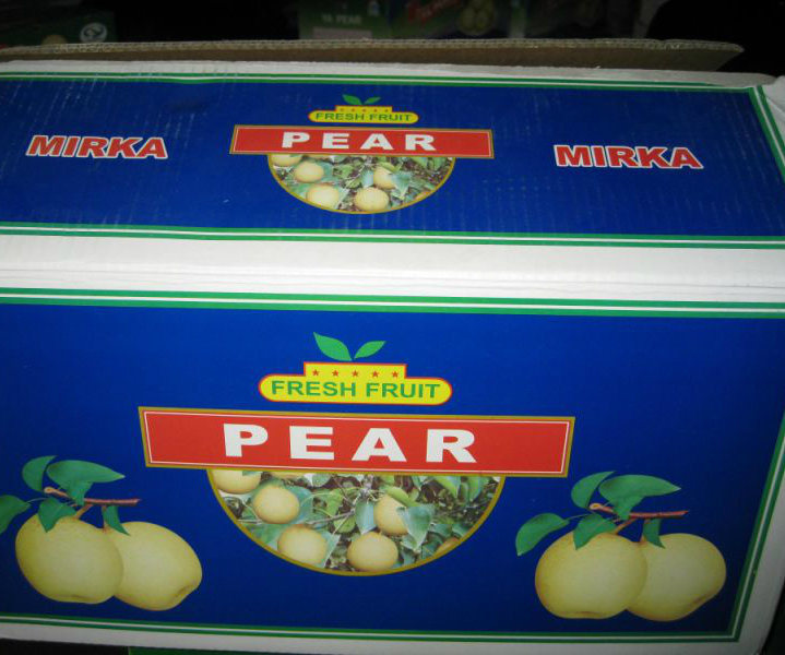 Fresh High Exporting Quality Ya Pear