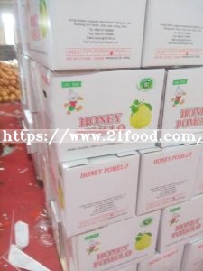 Exported Standard Quality Fresh Red Pulp Pomelo