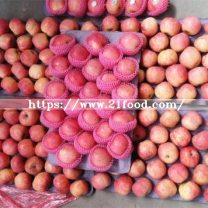 Fresh Paper Bagged Fuji Apple