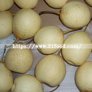 Selecting Export Quality Fresh Ya Pear
