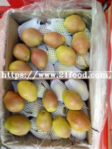 Fresh Red Korla Pear, Fragrant Pear From China