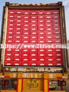 Global Gap Fresh Red Fragrant Pear (hongxiangsu pear) , Korla Pear