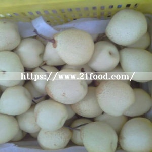 Fresh Ya Pear with Export Standard Quality