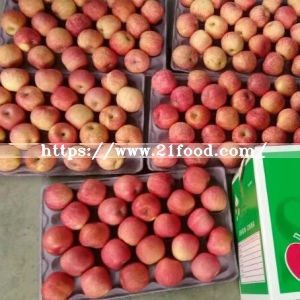 Fresh Red Apple From China Origin