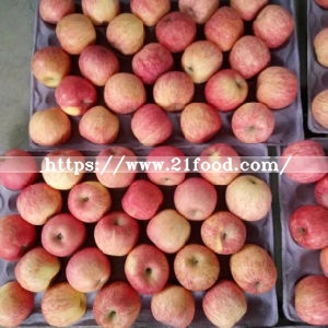 Fresh Red Apple From China Origin
