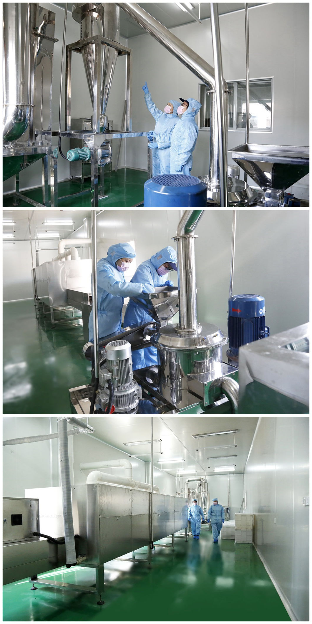 ISO22000 Kosher Certified Lycium Barbarum Powder Goji Powder Wolfberry Powder