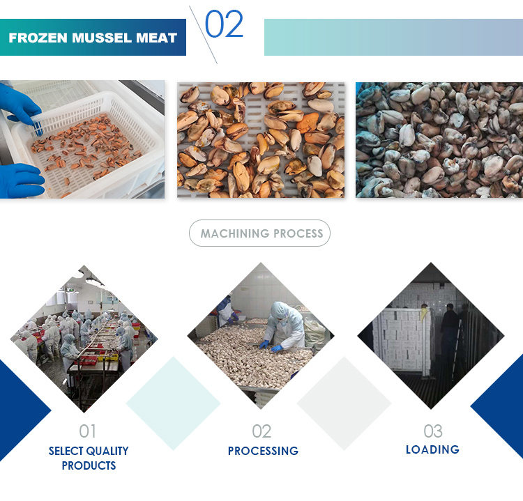 Frozen Cooked Mussel Meat 100-200