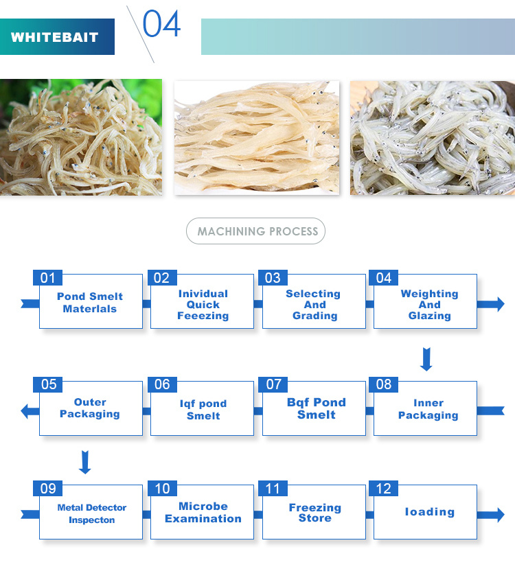 High Quality Frozen Squid/Squid Tube Dried Squid