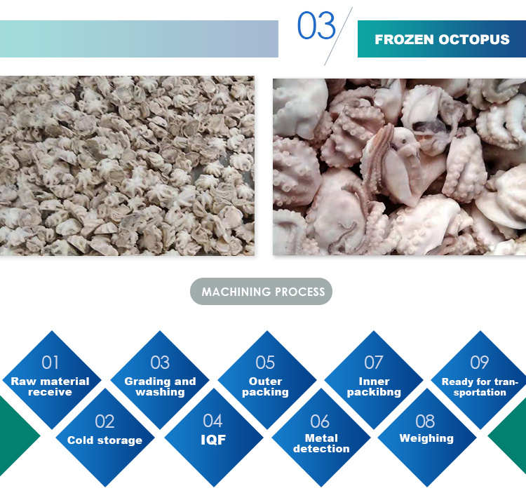 Shellfish Frozen Cooked Mussel Meat on Sale