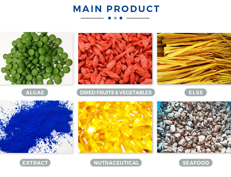 Factory Price High Quality Frozen Squid Tube U5 U7 U10