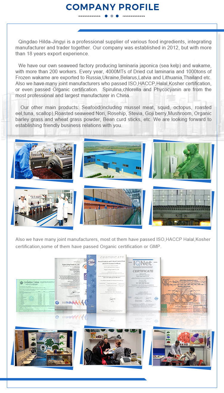 Factory Price High Quality Frozen Squid Tube U5 U7 U10