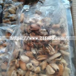 Frozen Boiled Mussel Meat New Season Mytilus Edulis