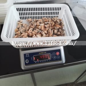 Frozen Boiled Mussel Meat New Season Mytilus Edulis