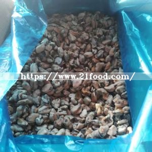 Frozen Cooked Mussel Meat 100-200