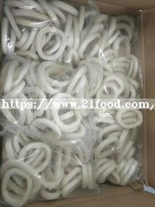 High Quality Frozen Squid/Squid Tube Dried Squid