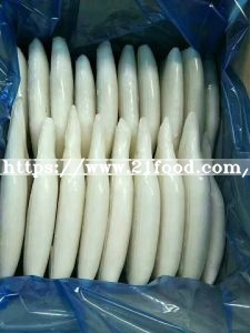 High Quality Frozen Squid/Squid Tube Dried Squid