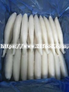 High Quality Frozen Squid/Squid Tube Dried Squid
