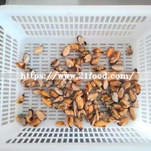 Shellfish Frozen Cooked Mussel Meat on Sale