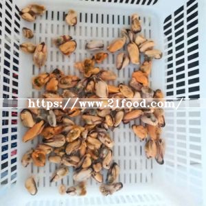 Shellfish Frozen Cooked Mussel Meat on Sale