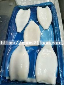 Factory Price High Quality Frozen Squid Tube U5 U7 U10