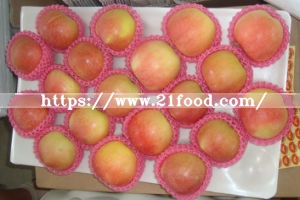 New Crop Exporting Standard FUJI Apple
