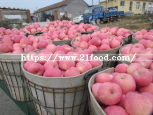 (RED: 70% AND UP) Competitive New Crop Apple