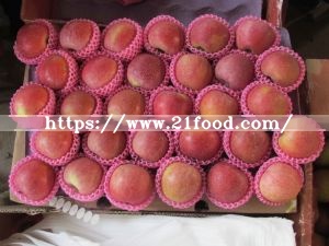 (RED: 70% AND UP) Competitive New Crop Apple