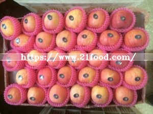 (RED: 70% AND UP) Competitive New Crop Apple