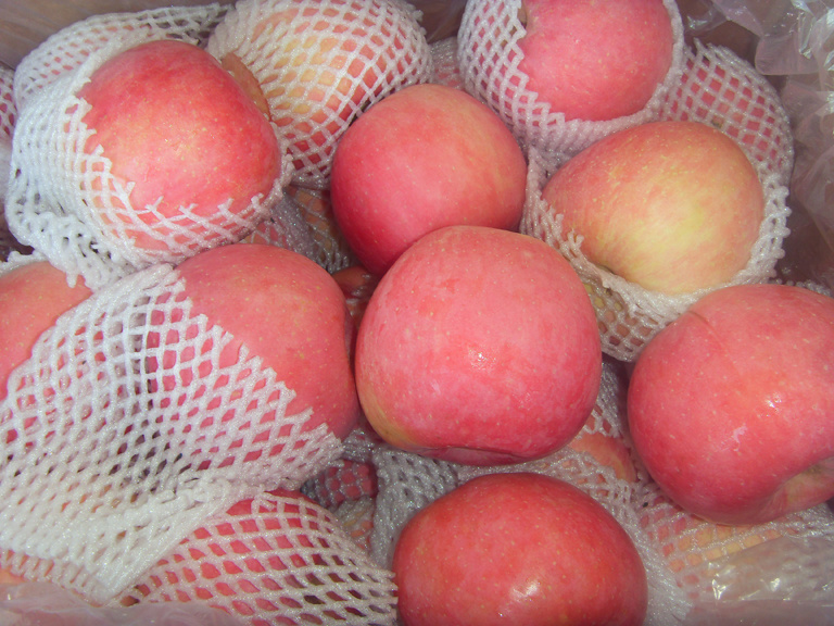 2018 Crop Best Quality FUJI Apple for EU Market