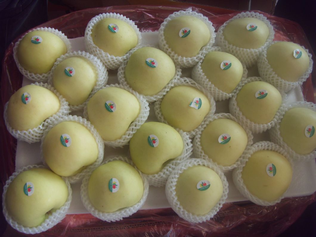 2018 Crop Best Quality FUJI Apple for EU Market