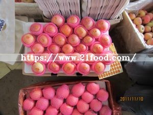 2018 Crop Best Quality FUJI Apple for EU Market