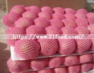 2019 New Crop FUJI Apple From China