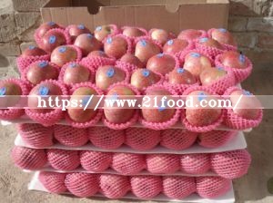 2019 New Crop FUJI Apple From China