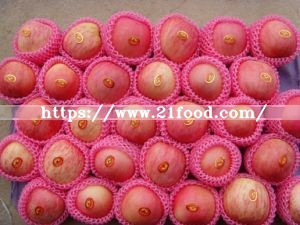2019 New Crop FUJI Apple From China