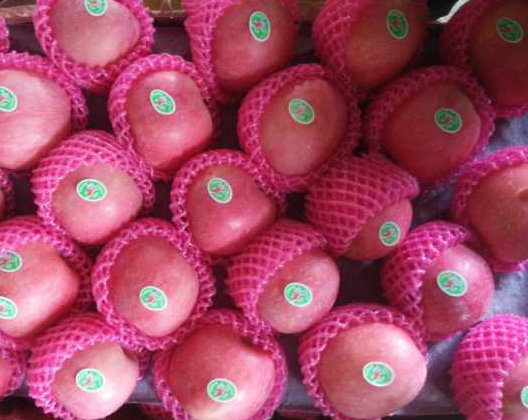 Top Quality Fresh Red FUJI Apple From Orchard