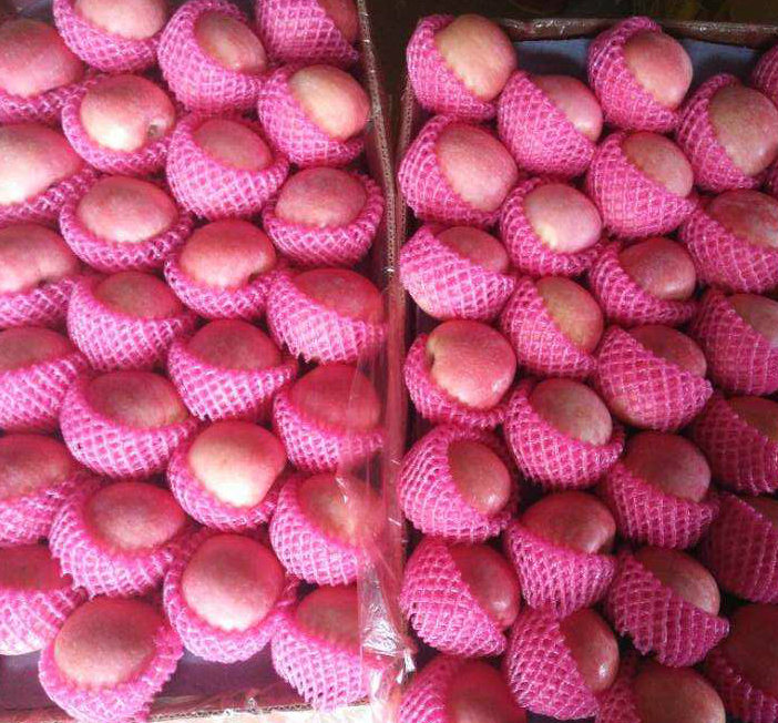 Top Quality Fresh Red FUJI Apple From Orchard