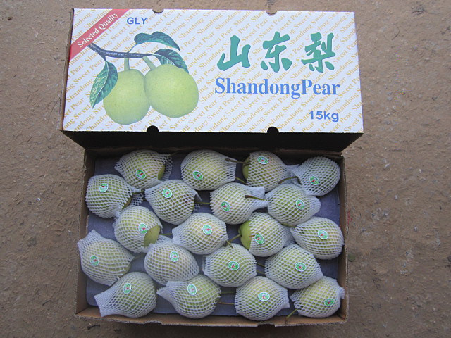 Fresh Juicy Green Shandong Pear