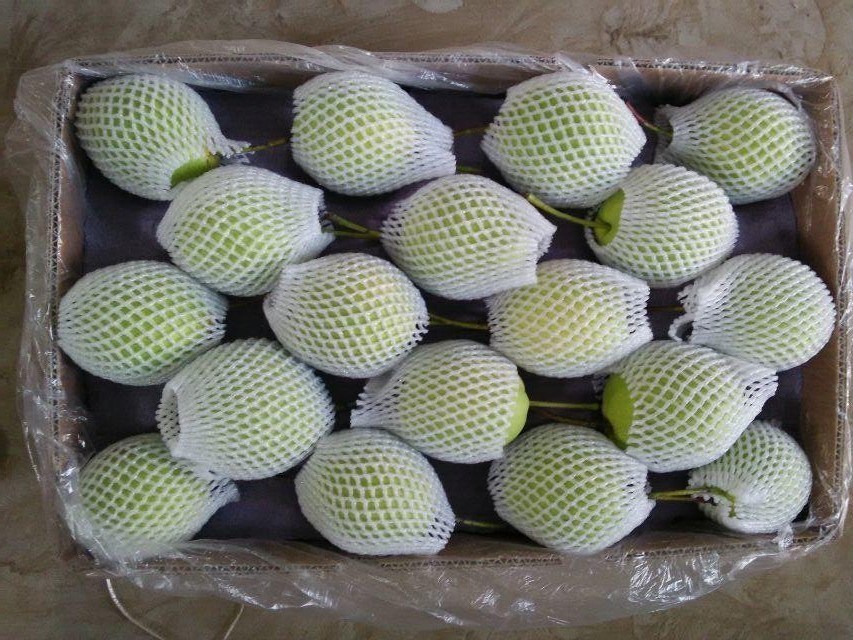 Fresh Juicy Green Shandong Pear