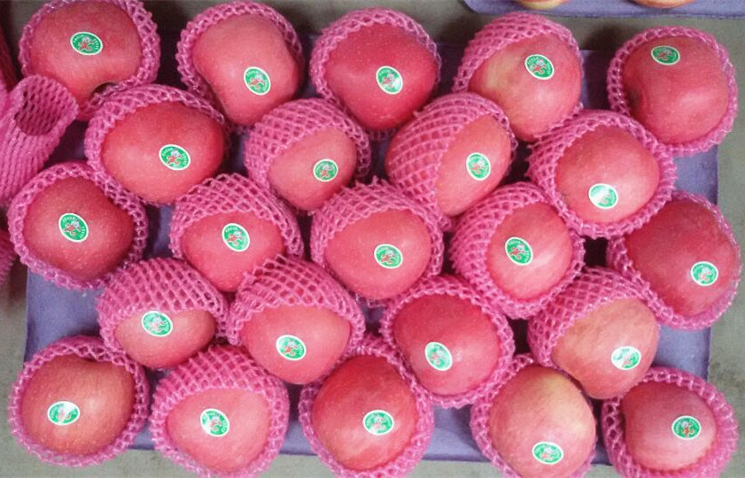 Best FUJI Apple at Competitive Price