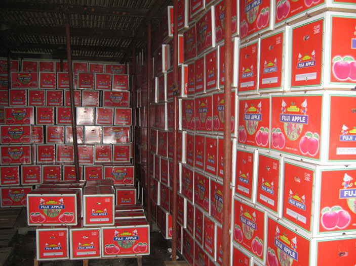 Best FUJI Apple at Competitive Price