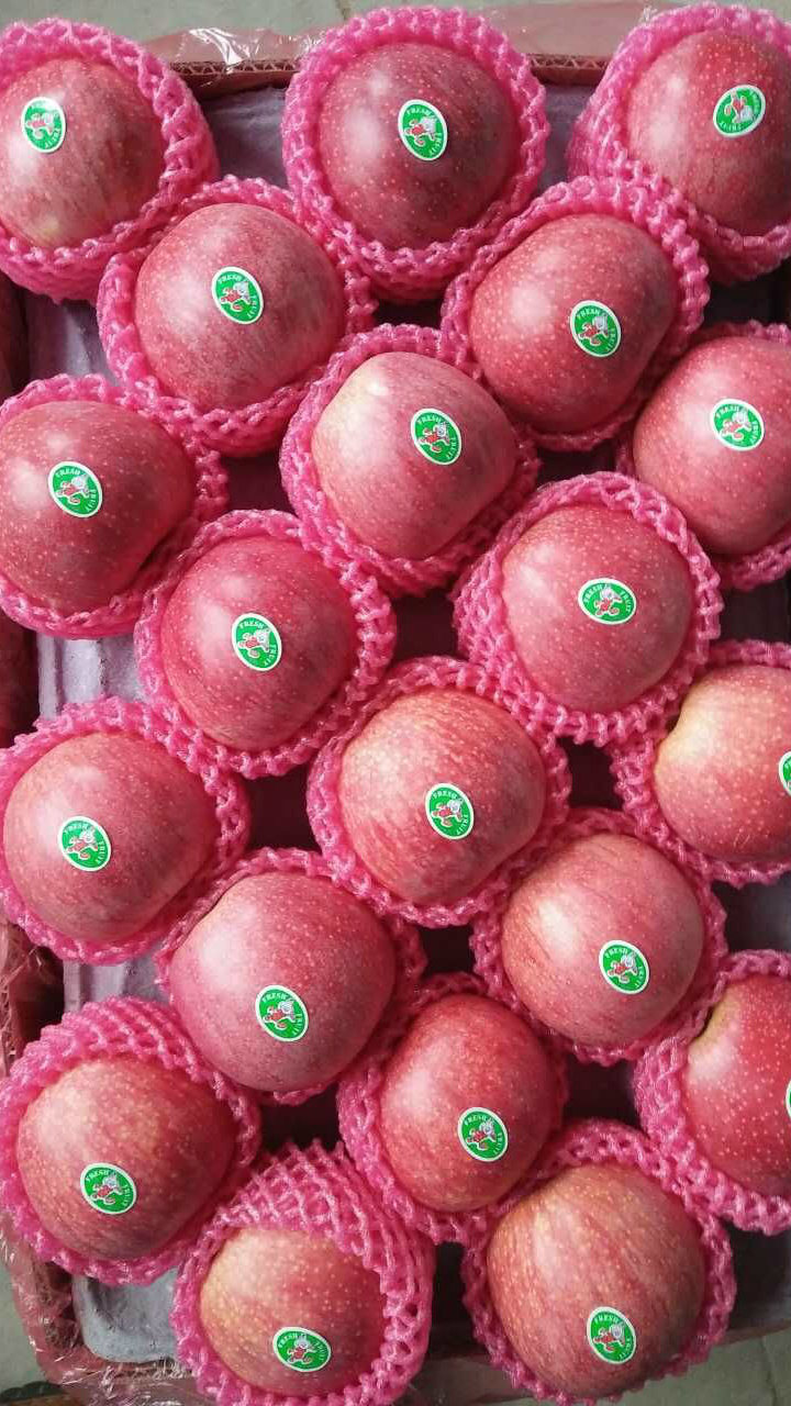 Good Quality of Fresh Red Qinguan Apple