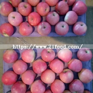New Crop Qinguan Apple From Reliable Supplier