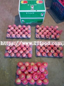 New Crop Qinguan Apple From Reliable Supplier
